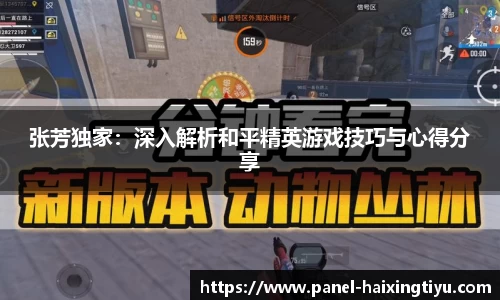 张芳独家:深入解析和平精英游戏技巧与心得分享